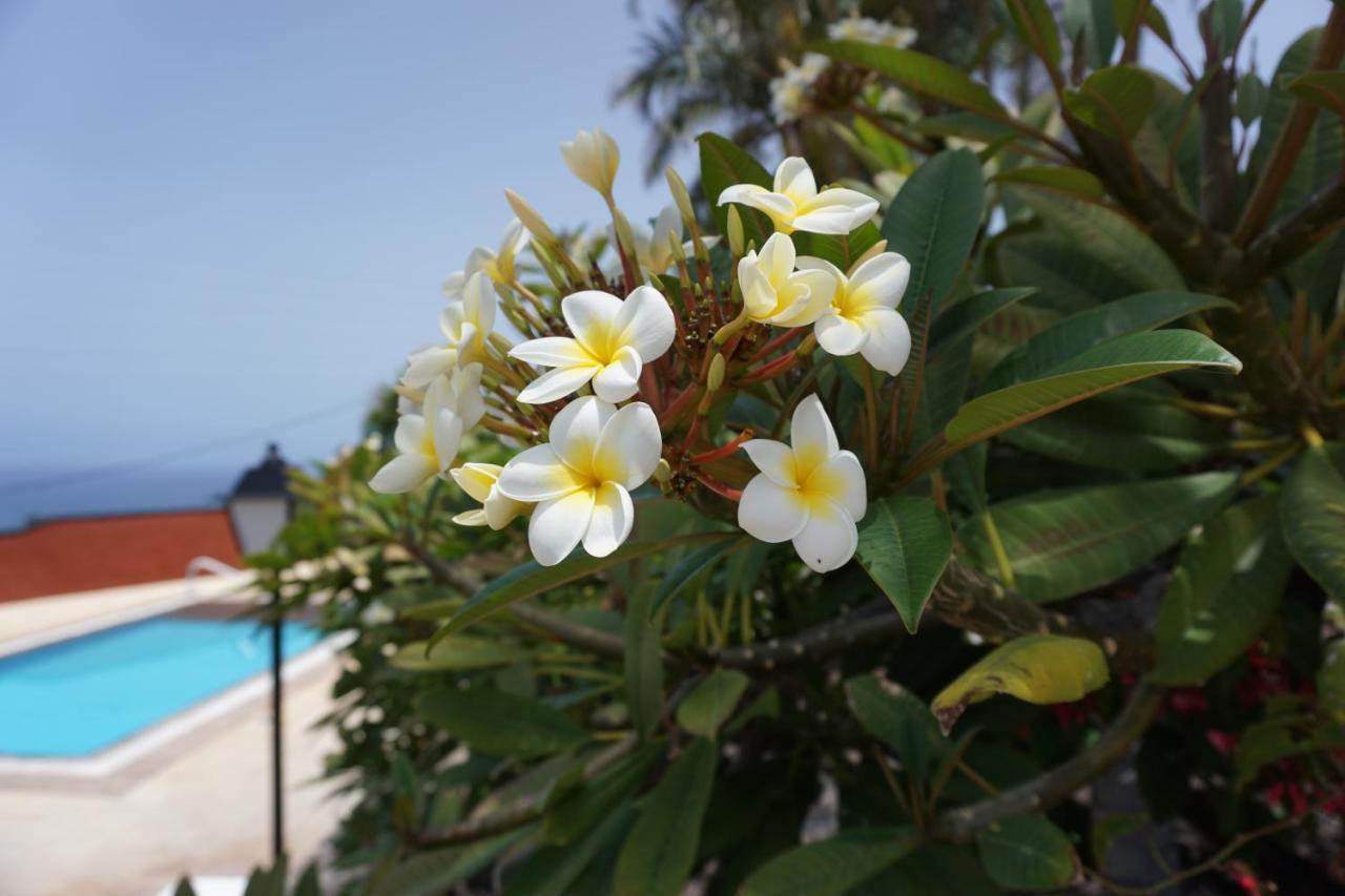 Finca La Romera 라오로타바 외부 사진
